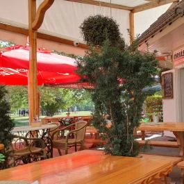 Sissy Büfé Balatonlelle - Egyéb