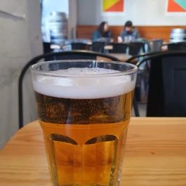 Skal, Budapest - Egyéb