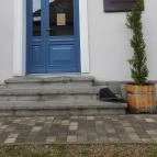 SkizoBor - Sike Balazs Pinceje - Nefelejcs Badacsonytördemic - Egyéb