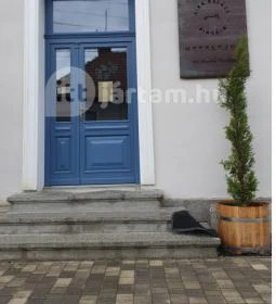 SkizoBor - Sike Balazs Pinceje - Nefelejcs