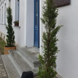 SkizoBor - Sike Balazs Pinceje - Nefelejcs Badacsonytördemic - Egyéb