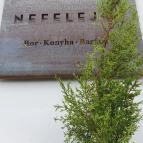 SkizoBor - Sike Balazs Pinceje - Nefelejcs Badacsonytördemic - Egyéb