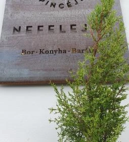 SkizoBor - Sike Balazs Pinceje - Nefelejcs