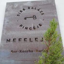 SkizoBor - Sike Balazs Pinceje - Nefelejcs Badacsonytördemic - Egyéb