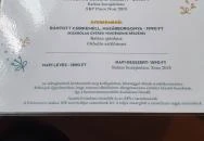 SkizoBor - Sike Balazs Pinceje - Nefelejcs Badacsonytördemic