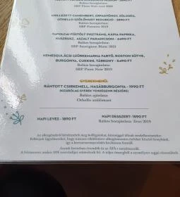 SkizoBor - Sike Balazs Pinceje - Nefelejcs