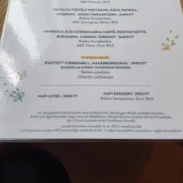 SkizoBor - Sike Balazs Pinceje - Nefelejcs Badacsonytördemic - Egyéb