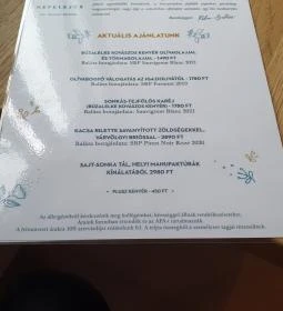 SkizoBor - Sike Balazs Pinceje - Nefelejcs