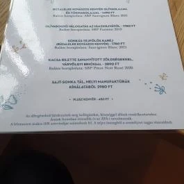 SkizoBor - Sike Balazs Pinceje - Nefelejcs Badacsonytördemic - Egyéb