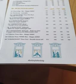 SkizoBor - Sike Balazs Pinceje - Nefelejcs