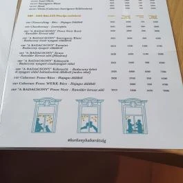 SkizoBor - Sike Balazs Pinceje - Nefelejcs Badacsonytördemic - Egyéb