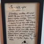 SkizoBor - Sike Balazs Pinceje - Nefelejcs Badacsonytördemic - Egyéb