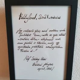 SkizoBor - Sike Balazs Pinceje - Nefelejcs Badacsonytördemic - Egyéb