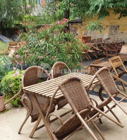 SkizoBor - Sike Balazs Pinceje - Nefelejcs