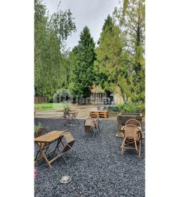 SkizoBor - Sike Balazs Pinceje - Nefelejcs