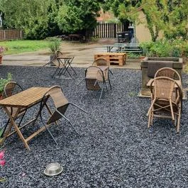 SkizoBor - Sike Balazs Pinceje - Nefelejcs Badacsonytördemic - Egyéb