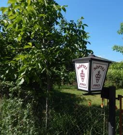 Söptei Pincészet & Étterem