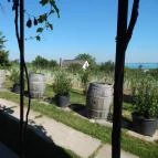 Söptei Pincészet & Étterem Csopak - Külső kép