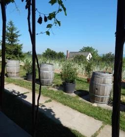 Söptei Pincészet & Étterem