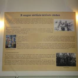 Sörmúzeum, Hatvan - Egyéb