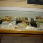 Sörmúzeum Hatvan - Belső