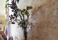 Sorompó Söröző Medgyesegyháza