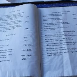 Sóstó Csárda, Kiskunhalas - Étlap/itallap