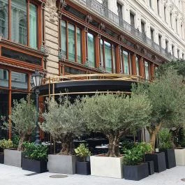 Spago by Wolfgang Puck, Budapest - Egyéb