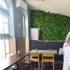 Spatula Százhalombatta - Egyéb