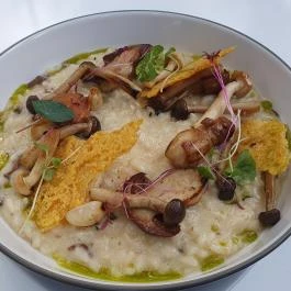 Spiccc Borbisztró, Szeged - Egyéb