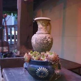 Spiccc Borbisztró, Szeged - Egyéb