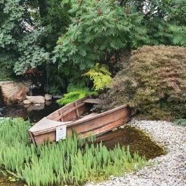 Spoon il Mercato Restaurant, Balatonakarattya - Egyéb