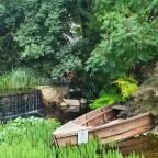 Spoon il Mercato Restaurant Balatonakarattya - Egyéb