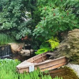 Spoon il Mercato Restaurant, Balatonakarattya - Egyéb