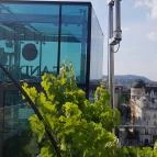 St. Andrea Wine & Skybar Budapest - Egyéb