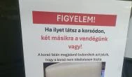 Stamgast söröző, Budapest