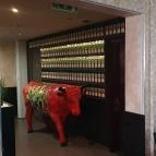 Station Bowling Pub Debrecen - Egyéb