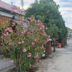 Stop Vendéglő Felsőlajos - Külső kép