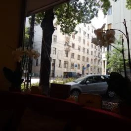 Stühmer Édességbolt - Pozsonyi út, Budapest - Egyéb