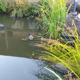 Sulyom Tájétterem, Sarud - Egyéb