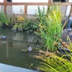 Sulyom Tájétterem Sarud - Egyéb