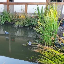 Sulyom Tájétterem, Sarud - Egyéb