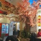 Sushi Wan Budapest - Egyéb