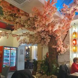 Sushi Wan, Budapest - Egyéb