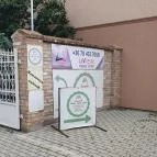 Süti, Nem Süti Vecsés - Egyéb