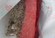 Süti, Nem Süti Vecsés