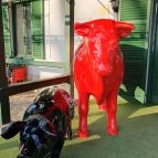 Svájci lak Étterem Nyíregyháza - Egyéb