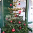 Svájci lak Étterem Nyíregyháza - Egyéb