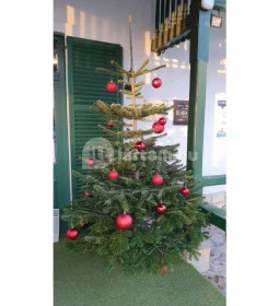 Svájci lak Étterem