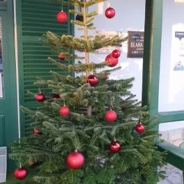 Svájci lak Étterem, Nyíregyháza - Egyéb